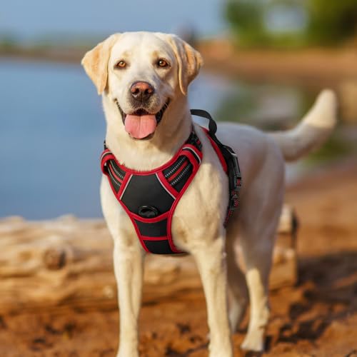 Dog Harness No Pull for Small Dogs with 2 Leash Clips (Small / Black & Red)