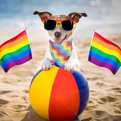 Rainbow Dog Bandanas (Small / Rainbow)