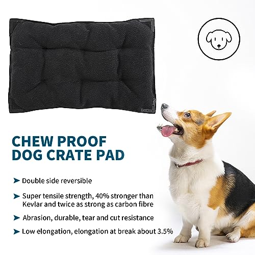 Chew Proof Dog Bed with Metal Rivet Corner for Medium Dogs (M (35" L x 22" W) / Black)
