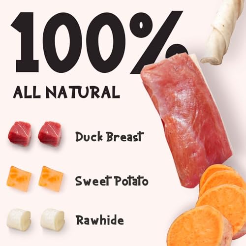 Dog Treats Bones