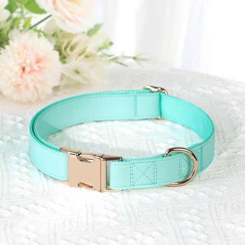 Soft PU Leather Dog Collar (M: Fit 13-19" Neck(20-55 lbs) / Mint Green)