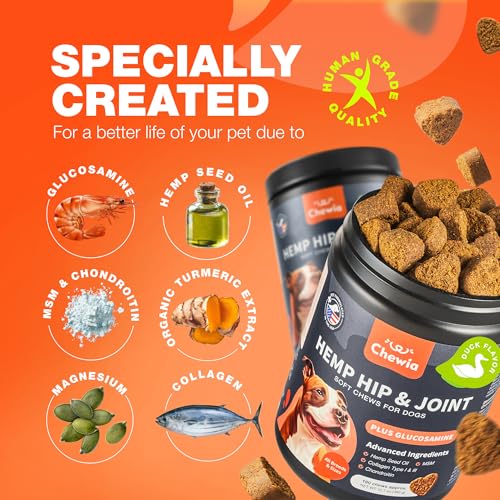 Hip & Joint Chews for Dogs (180 count / Hip & Joint Chews)