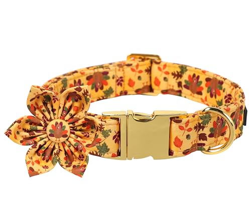 Thanksgiving Day Dog Collar with Flower (Small (Pack of 1) / B:4 Color Plume Turkey)