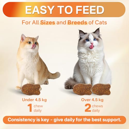 Flea and Tick Prevention for Cats