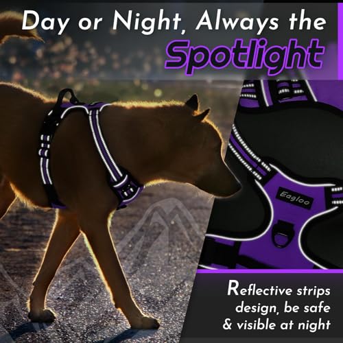 Dog Harness for Medium Sized Dogs (Medium / Purple)