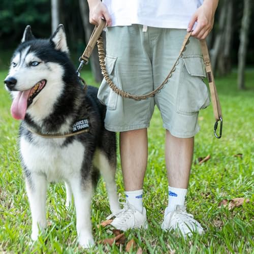 Tactical Military Bungee Nylon Dog Leash Adjustable (MCP)