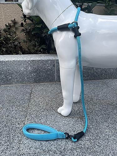 Slip Lead Dog Leash (1/2"×4ft / Blue)