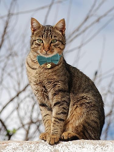 2 Pack Soft Corduroy Cat Collars with Bow Tie & Bell Adjustable Breakaway Kitten Bowtie Collar for Girl Boy Cats (S:Neck 7.0" - 11.0" / Corduroy-Red Green)