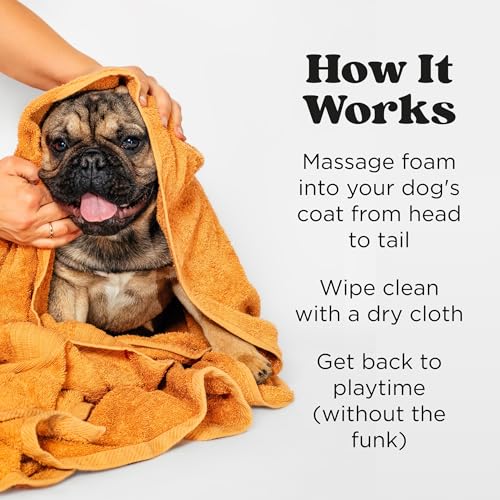 Rinse Free Deodorizing Dry Shampoo for Dogs & Cats (6 ounces)