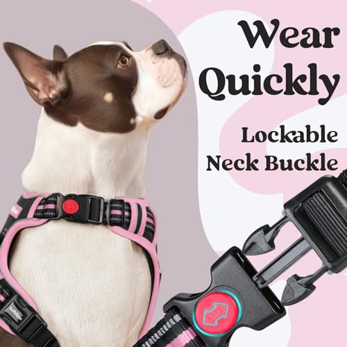 Dog Harness for Large (Black & Pink / Large)
