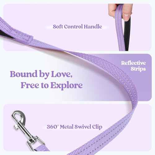 Dog Harness Medium Sized and Leash Set (Light Purple / Xxl (chest: 21.6 - 23.7"))