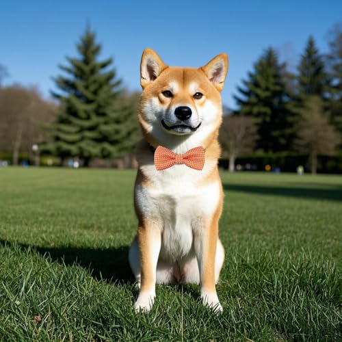 8 Pack Dot Dog Bowties for Small Dogs Slide on Collar (S/M)