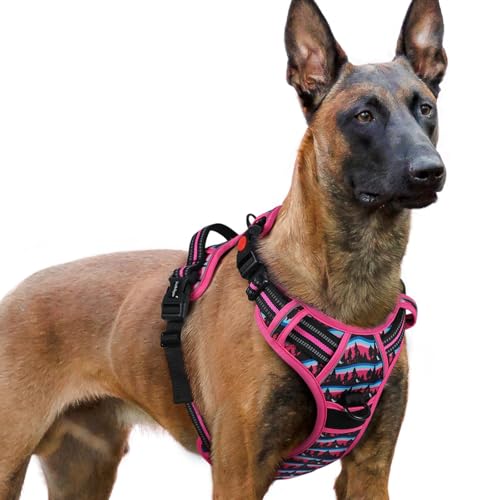 Dog Harness for Large (Mountain Rose / X-large)