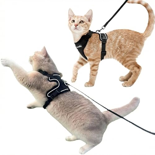 2 Pack Escape (Black / M)