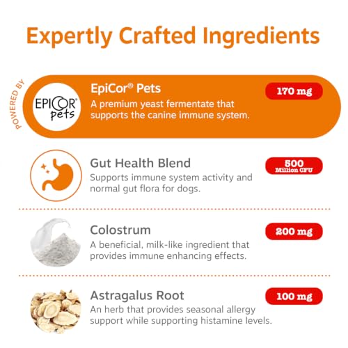 Dog Allergy Chews (250 Count (Pack of 1) - Standard)