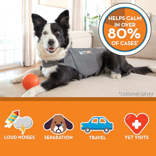 for Dogs Calming Anxiety Vest (Heather Grey / XXL)