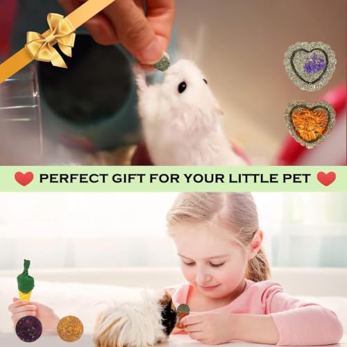 Bunny Toys 21PCS Rabbit Chew Toys for Teeth (21Pack-small Set)
