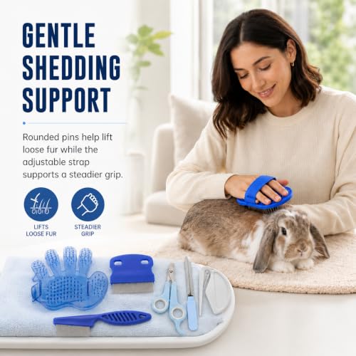 Rabbit Grooming Kit (Blue)