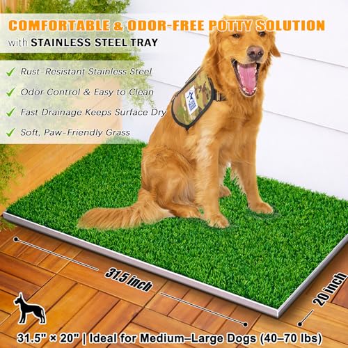 DDog Grass Pee Pad with Stainless Steel Tray (Potty System Size -31.5''x 20")