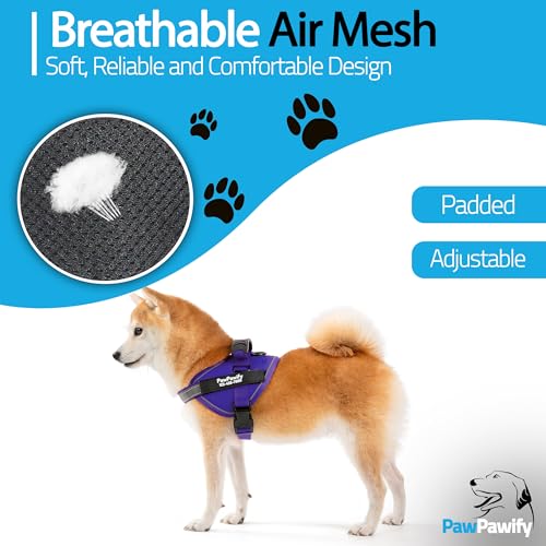 Custom No Pull Dog Harness with Name and Phone Number (XS (5-9LBS) / New Purple)