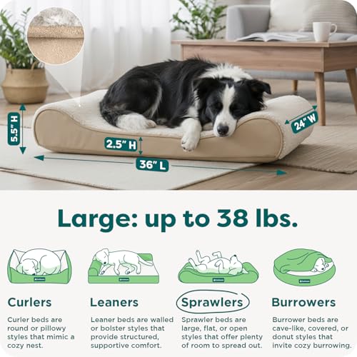 Orthopedic Dog Bed for Large