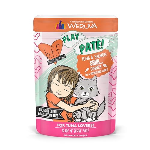 B.F.F. Play Best Feline Friend Paté Lovers (3 Ounce (Pack of 12))
