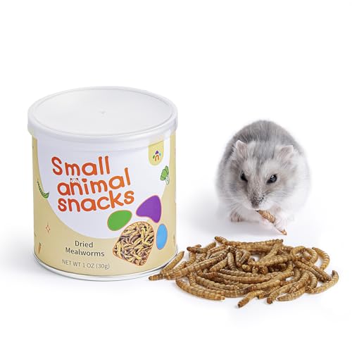 Small Animal Snack & Treats