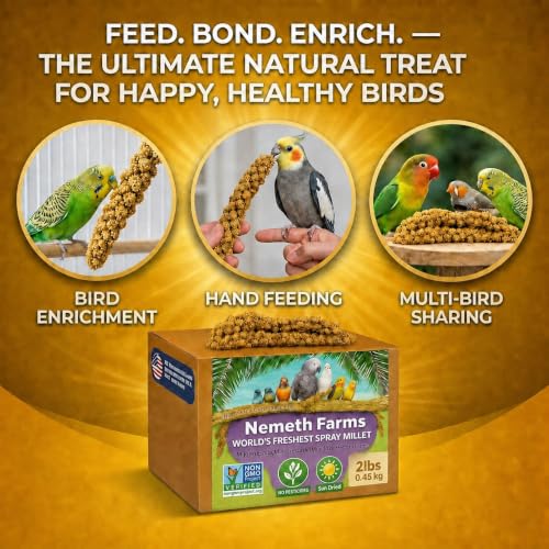 Spray Millet Edible Tops Only (2 Pound (Pack of 1))