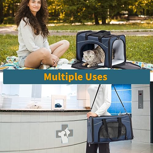 Airline Approved Pet Carrier for Small Dogs & Cats (Navy / 19.0"L x 9.5"W x 12.0"H)