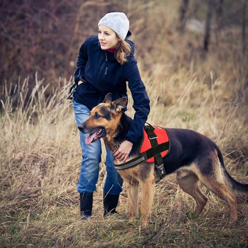 Dog Harness Reflective No (Red / Girth 18" to 24")