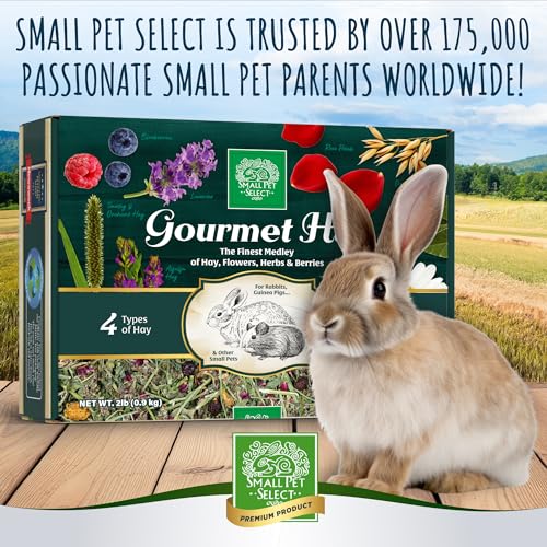 Gourmet Hay Treat