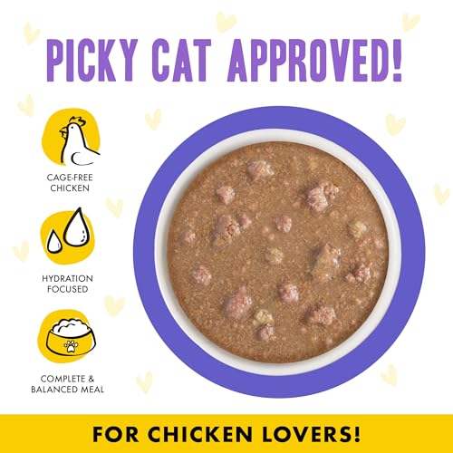 B.F.F. OMG Best Feline Friend Oh My Gravy! (5.5 Ounce (Pack of 8))