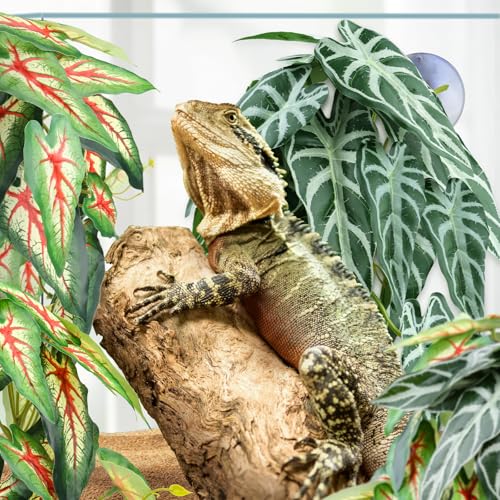 2 Pack Reptile Plants for Terrarium