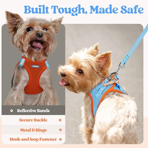 Dog Harness Medium Sized and Leash Set (Blue & Orange / Xxl (chest: 21.6 - 23.7"))