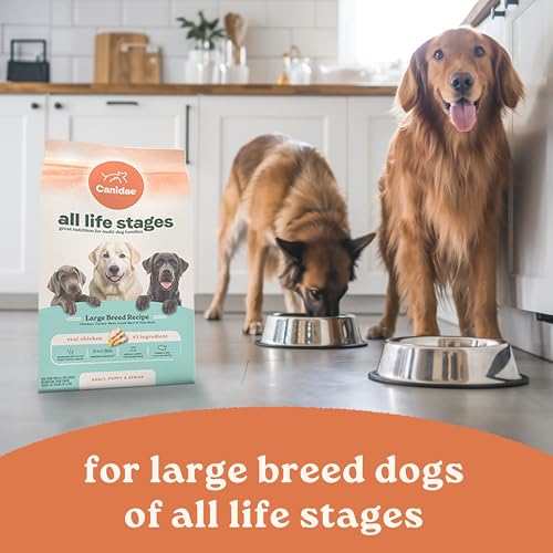 All Life Stages Large Breed (40 Pound (Pack of 1))