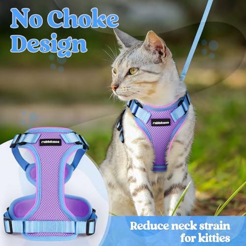 Cat Harness and Leash Set (Purple & Blue / Xs)