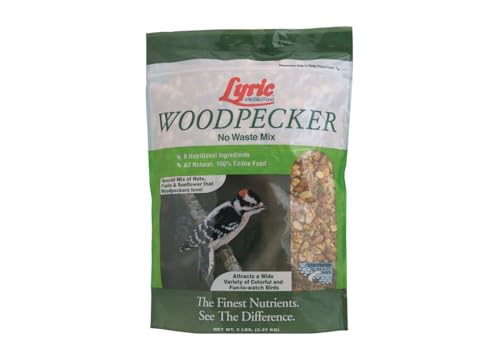 Woodpecker Wild Bird Seed