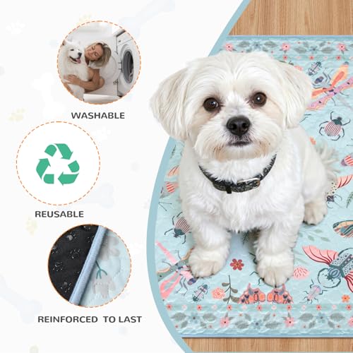 Washable Reusable Pee Pads for Dogs (Blue-03 / 2FT x 2FT (Pack of 2))
