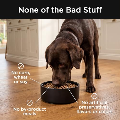 Skin + Coat Care Salmon Dry Dog Food (22 Pound (Pack of 1))