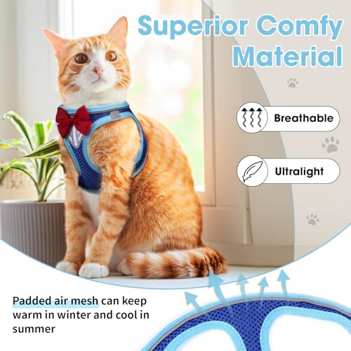 Cat Vest Harness and Leash Set (Blue / L)