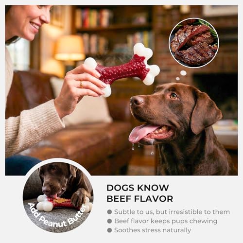 2 Pack Dog Toys for Aggressive Chewers Medium (2PC-Beef-Red)