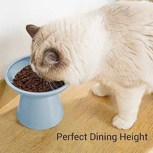 Extra Wide Elevated Ceramic 6.2" Shallow Cat Food Bowl (Blue-Shallow)
