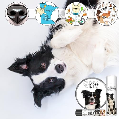 Border Collie Nose Butter for Dry (Border Collie / 0.50 Ounce)