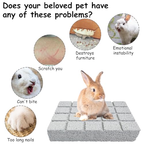 2PCS Rabbit Scratching Pads Bunny Lava Grinding Claw Pads Small Animal Foot Pads Hamster Scratch Board Chew Toys for Gerbil Chinchilla Hedgehog Guinea Pig Cage Accessories