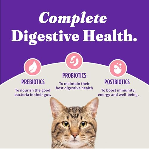 Holistic Dry Cat Food