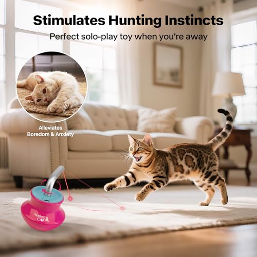 Cat Laser Pointer Toy for Bored Indoor Cats