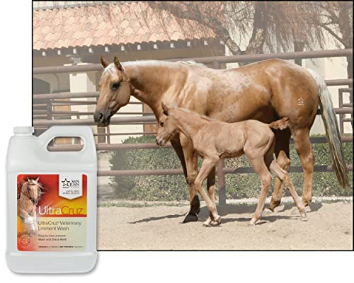 Veterinary Liniment Wash for Horses
