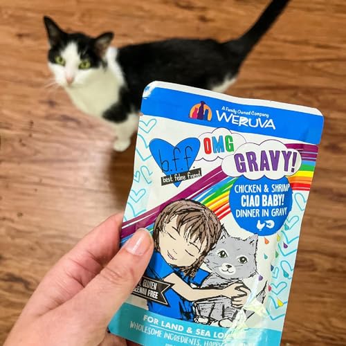 B.F.OMG Best Feline Friend Oh My Gravy! (3 Ounce (Pack of 12))