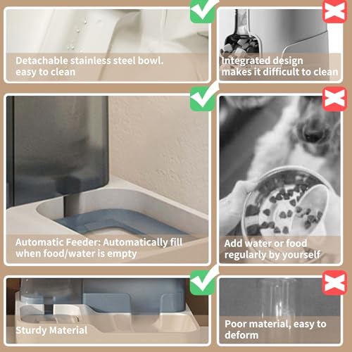 Cat Bowls for Indoor