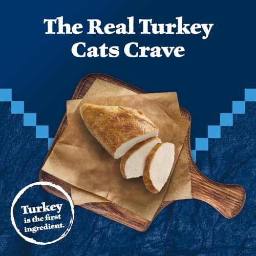 Wilderness Turkey Paté Adult Wet Cat Food (24)